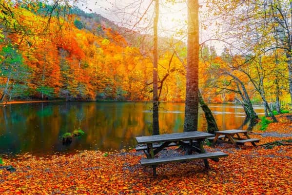 Karadeniz Bölgesi Karavan ve Park Alanları